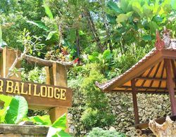 Swar Bali Lodge Dış Mekan