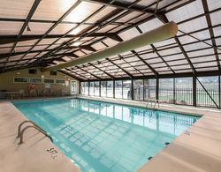 Sweet Clover - Indoor Pool - HOT TUB Area - Resort Style - Center of Branson!! Dış Mekan