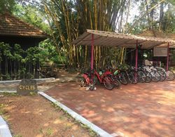 Taj Kumarakom Resort & Spa, Kerala Genel