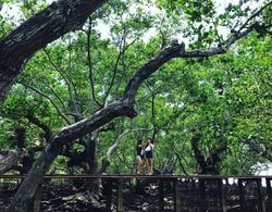 Talikud Island Mangrove Beach Resort Dış Mekan