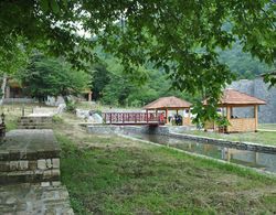 Talıstan Forest Park Dış Mekan