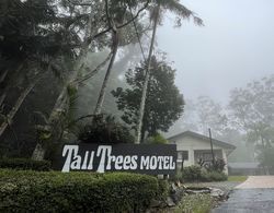 Tall Trees Motel Dış Mekan