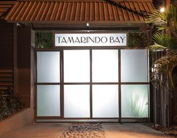 Tamarindo Bay Boutique Hotel - Adults only Dış Mekan