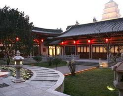 Tang Dynasty Art Garden Genel
