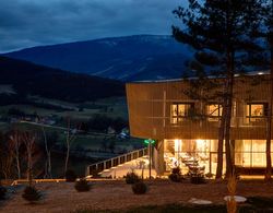 Tarcin Forest Resort & Spa Sarajevo MGallery Genel
