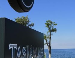 Tasliman Otel Dış Mekan