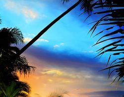 Taveuni Palms Resort - All Inclusive Oda
