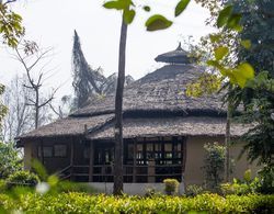 Temple Tiger Green Jungle Resort Dış Mekan