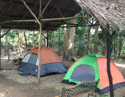 Tent and Breakfast at Irawan Park Öne Çıkan Resim