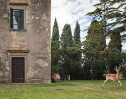 Tenuta di Poggio Cavallo Dış Mekan