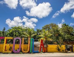 Hotel Tequila Cancun Dış Mekan