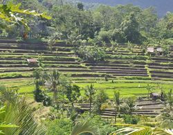 Teras Bali Rice Terrace Bungalows and Spa Genel