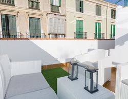 Terrace Picasso Apartment Oda Düzeni