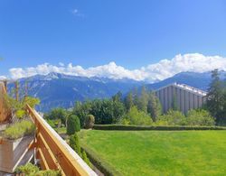 Terrasse des Alpes Crans-montana Oda