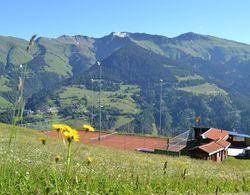 The Alpina Mountain Resort Genel