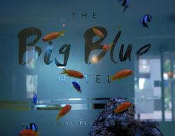 The Big Blue Hotel Genel