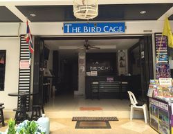 The Bird Cage Patong Guesthouse Lobi