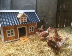 The Cuddly Cow Cosy Barn Studio Farm Stay Dış Mekan