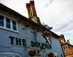 The Dolphin Inn Dış Mekan