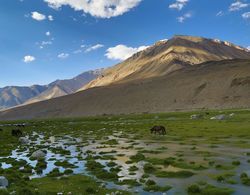 The Driftwood Ladakh Genel