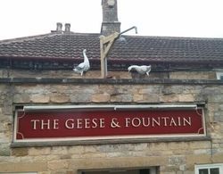The Geese and Fountain Öne Çıkan Resim