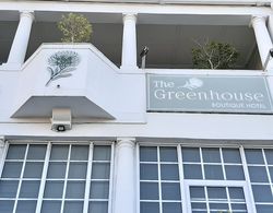 The Greenhouse Guesthouse Dış Mekan