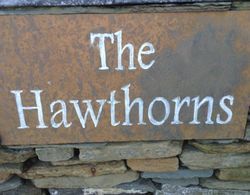 The Hawthorns Bed & Breakfast Dış Mekan