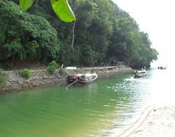 The Krabi Forest Homestay Genel
