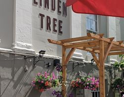 The Linden Tree Dış Mekan