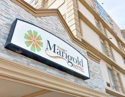 The Marigold Hotel Dış Mekan