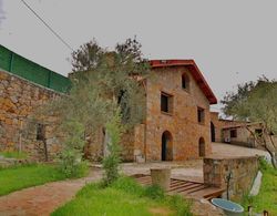 The Mira House Dış Mekan
