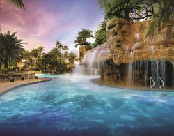 The Mirage Resort and Casino Havuz