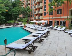 The Mutiny Hotel Coconut Grove Genel