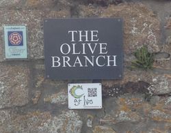 The Olive Branch Dış Mekan