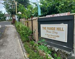 The Pande Hill Homestay Dış Mekan