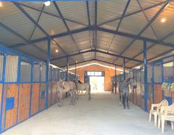 The Ranch - Lodge & Equestrian Center Genel