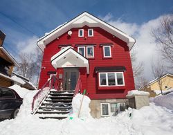 The Red Ski House Dış Mekan