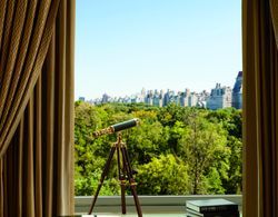 The Ritz-Carlton New York, Central Park Genel