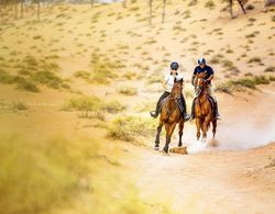 The Ritz-Carlton Ras Al Khaimah, Al Wadi Desert Genel