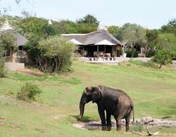 The Safari Lodge- Amakhala Game Reserve Genel