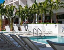 The Sarasota Modern, a Tribute Portfolio Hotel Havuz