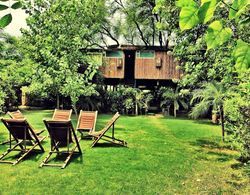 The Tree House Resort Genel
