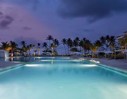 The Westin Puntacana Resort and Club Havuz