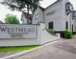 The Westmead Hotel Genel