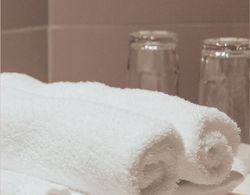 Hotel Theatro Banyo Tipleri