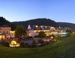 Hotel Therme Bad Teinach Genel