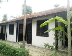 Thuy Bieu Homestay Dış Mekan