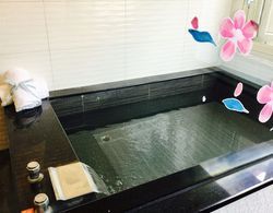 Tianchi Hot Spring Hotel Banyo Tipleri