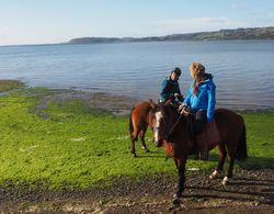 Tierra Chiloé Hotel & Spa Genel