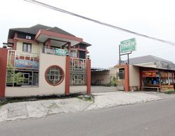 Hotel Tiger Yogyakarta Dış Mekan